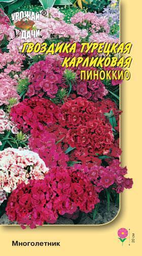 Купить оптом в Ботанике семена Гвоздика турецкая Пиноккио УУ бренд Урожай Удачи