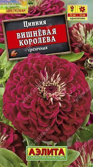 Купить оптом в Ботанике семена Цинния Вишневая королева Аэл бренд Аэлита