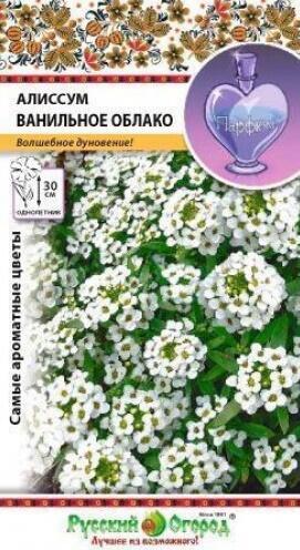 Купить оптом в Ботанике семена Алиссум Ванильное облако НК бренд НК
