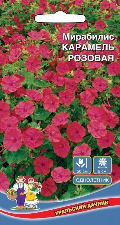 Купить оптом в Ботанике семена Мирабилис Карамель розовая УД бренд Уральский дачник