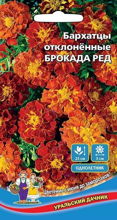 Купить оптом в Ботанике семена Бархатцы Брокада ред отклоненные УД бренд Уральский дачник