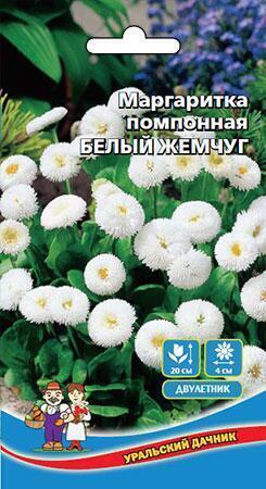 Купить оптом в Ботанике семена Маргаритка Белый жемчуг помпонная УД бренд Уральский дачник