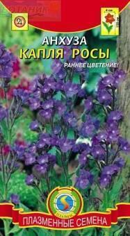 Купить оптом в Ботанике семена Анхуза Капля росы Плз бренд Плазмас