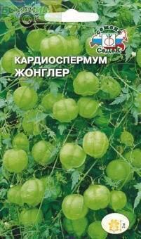 Купить оптом в Ботанике семена Кардиоспермум Жонглер Сед бренд СеДеК