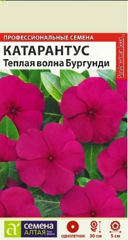 Купить оптом в Ботанике семена Катарантус Теплая волна Бургунди СА бренд Семена Алтая