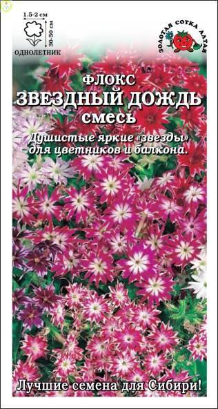 Купить оптом в Ботанике семена Флокс Звездный дождь ЗС бренд Золотая сотка