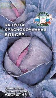 Купить оптом в Ботанике семена Капуста краснокочанная Боксер (Гако) Сед бренд СеДеК