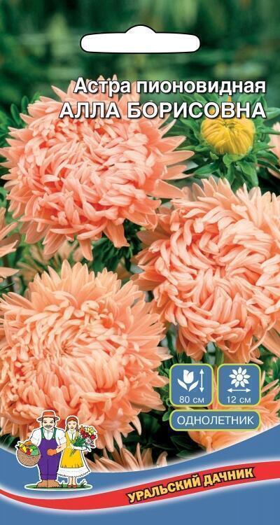 Купить оптом в Ботанике семена Астра Алла Борисовна УД бренд Уральский дачник