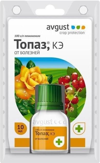 Купить оптом в Ботанике Топаз 10 мл (80)