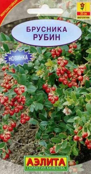 Купить оптом в Ботанике семена Брусника Рубин Аэл бренд Аэлита