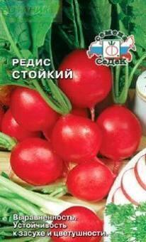 Купить оптом в Ботанике семена Редис Стойкий Сед бренд СеДеК