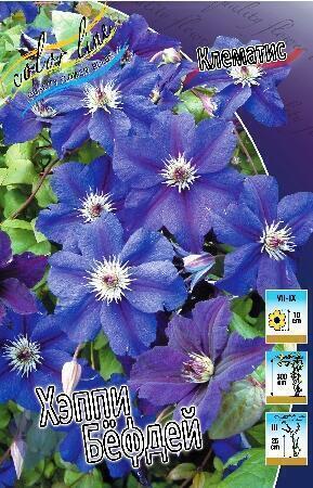 Купить оптом в Ботанике Клематис Хеппи Бёфдей 2 шт