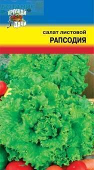 Купить оптом в Ботанике семена Салат Рапсодия УУ бренд Урожай Удачи