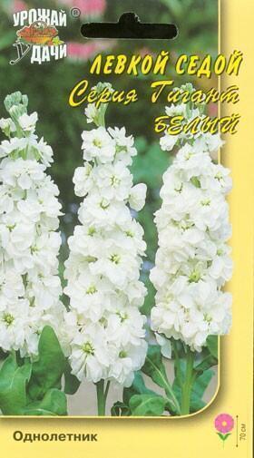 Купить оптом в Ботанике семена Левкой Гигант белый УУ бренд Урожай Удачи