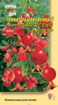 Купить оптом в Ботанике семена Гранат Оранжевый мастер УУ бренд Урожай Удачи