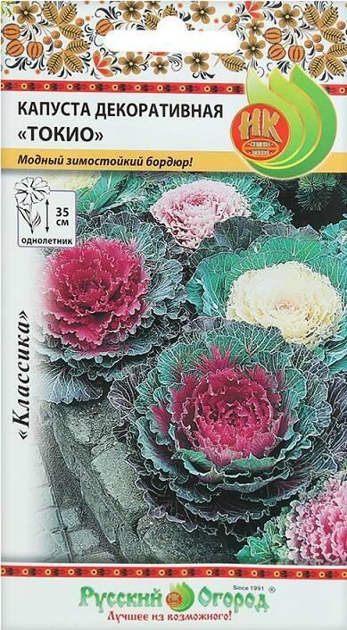 Купить оптом в Ботанике семена Капуста декоративная Токио НК бренд НК