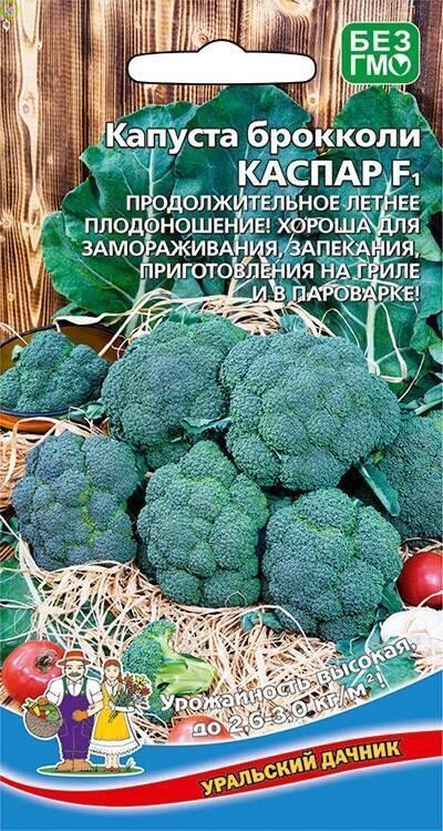 Купить оптом в Ботанике семена Капуста брокколи Каспар F1 УД бренд Уральский дачник