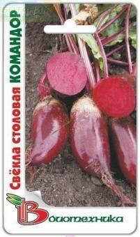 Купить оптом в Ботанике семена Свекла столовая Командор Био бренд Биотехника