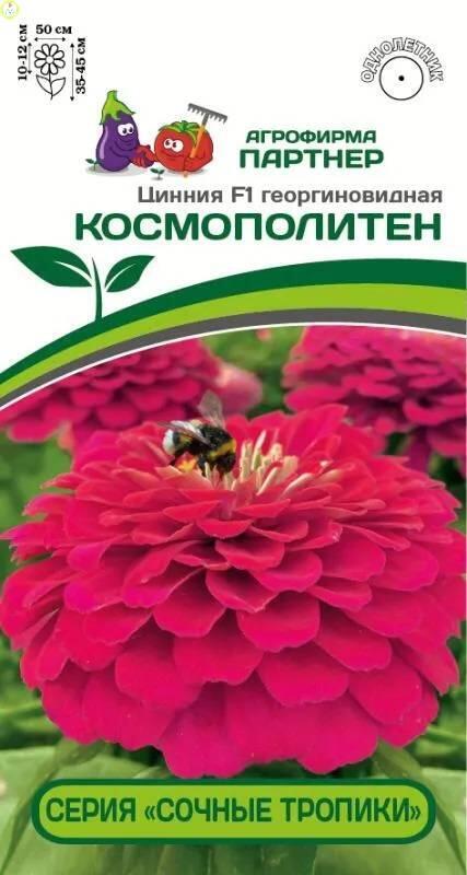 Купить оптом в Ботанике семена Цинния Космополитен F1 Пар бренд Партнер