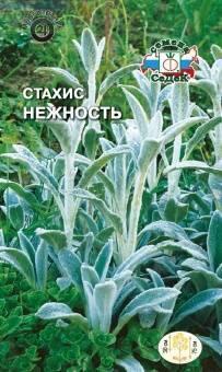 Купить оптом в Ботанике семена Стахис Нежность Сед бренд СеДеК