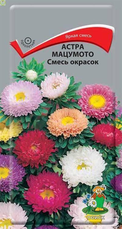Купить оптом в Ботанике семена Астра Мацумото смесь окрасок Поиск бренд Поиск