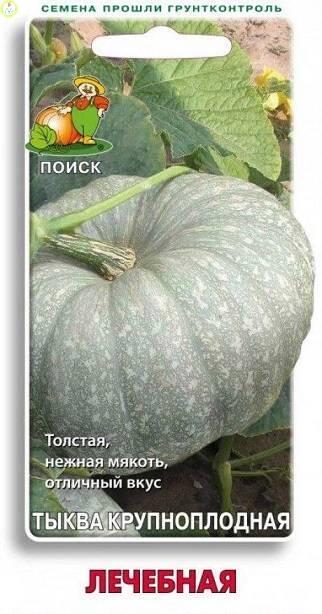 Купить оптом в Ботанике семена Тыква Лечебная Поиск бренд Поиск