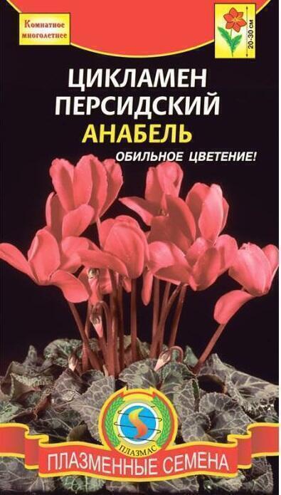 Купить оптом в Ботанике семена Цикламен Анабель персидский Плз бренд Плазмас