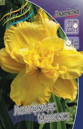 Купить оптом в Ботанике Лилейник Лонгфилдс Максим 25 шт