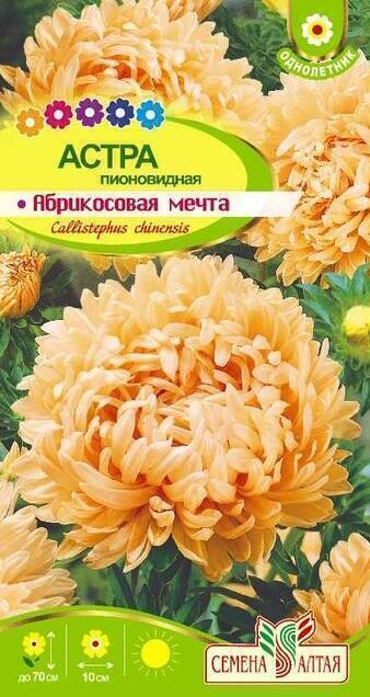 Купить оптом в Ботанике семена Астра Абрикосовая мечта СА бренд Семена Алтая