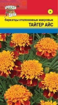 Купить оптом в Ботанике семена Бархатцы Тайгер Айс УУ бренд Урожай Удачи
