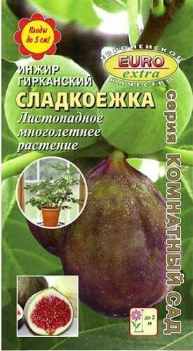 Купить оптом в Ботанике семена Инжир Сладкоежка гирканский Аэл бренд Аэлита