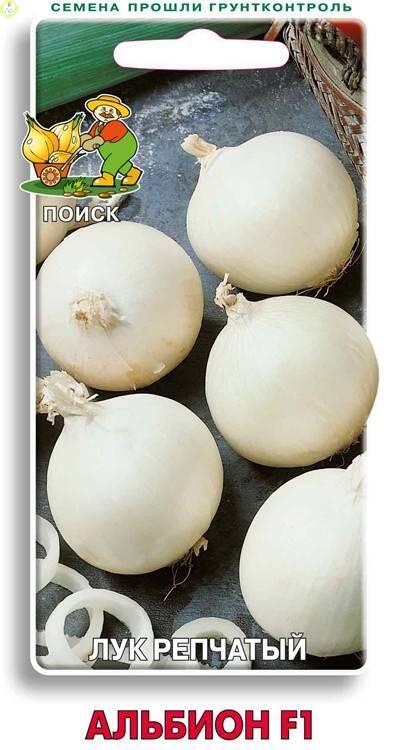 Купить оптом в Ботанике семена Лук репчатый Альбион F1 Поиск бренд Поиск