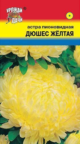 Купить оптом в Ботанике семена Астра Дюшес желтая УУ бренд Урожай Удачи