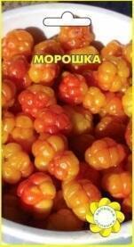 Купить оптом в Ботанике семена Морошка УУ бренд Урожай Удачи