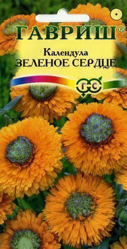Купить оптом в Ботанике семена Календула Зеленое сердце Гав бренд Гавриш