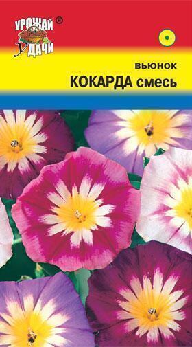 Купить оптом в Ботанике семена Вьюнок Кокарда смесь УУ бренд Урожай Удачи