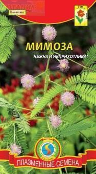 Купить оптом в Ботанике семена Мимоза Стыдливая Плз бренд Плазмас