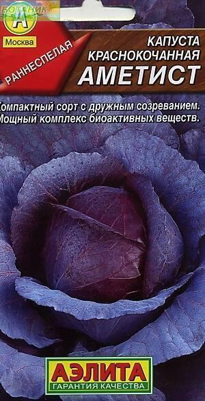 Купить оптом в Ботанике семена Капуста краснокочанная Аметист Аэл бренд Аэлита