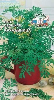 Купить оптом в Ботанике семена Рута Кружевница Сед бренд СеДеК