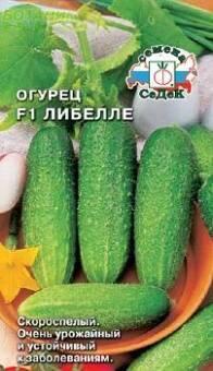 Купить оптом в Ботанике семена Огурец Либелле F1 Сед бренд СеДеК