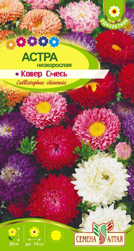 Купить оптом в Ботанике семена Астра Ковер смесь СА бренд Семена Алтая