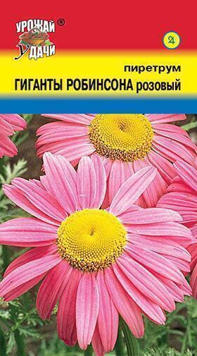 Купить оптом в Ботанике семена Пиретрум Гиганты Робинсона розовый УУ бренд Урожай Удачи