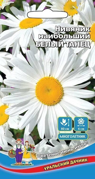 Купить оптом в Ботанике семена Нивяник Белый танец наибольший УД бренд Уральский дачник