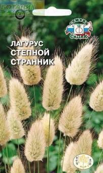 Купить оптом в Ботанике семена Лагурус Степной странник Сед бренд СеДеК