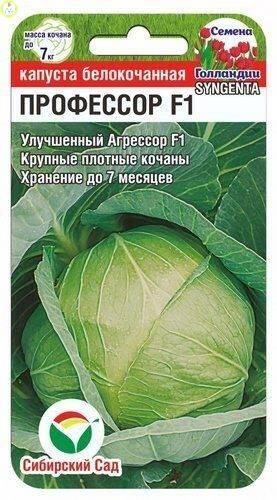 Купить оптом в Ботанике семена Капуста белокочанная Профессор F1 СС бренд Сиб.сад