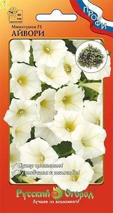 Купить оптом в Ботанике семена Минитуния Айвори F1 НК бренд НК