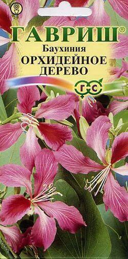 Купить оптом в Ботанике семена Баухиния Орхидейное дерево Гав бренд Гавриш