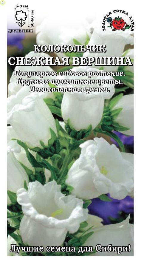 Купить оптом в Ботанике семена Колокольчик Снежная вершина средний ЗС бренд Золотая сотка