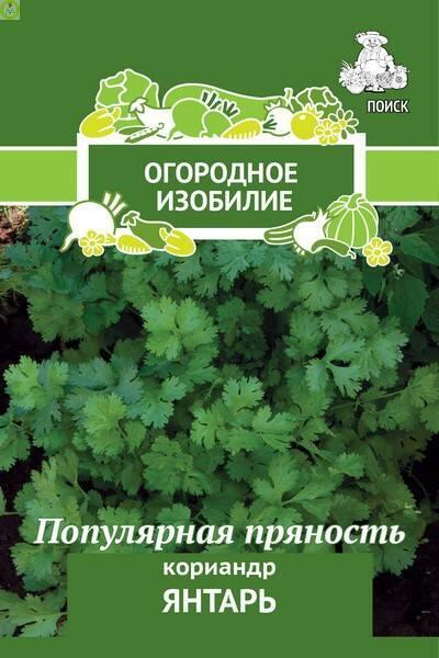 Купить оптом в Ботанике семена Кориандр Янтарь Поиск бренд Поиск