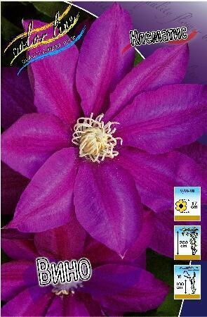 Купить оптом в Ботанике Клематис Вино 2 шт